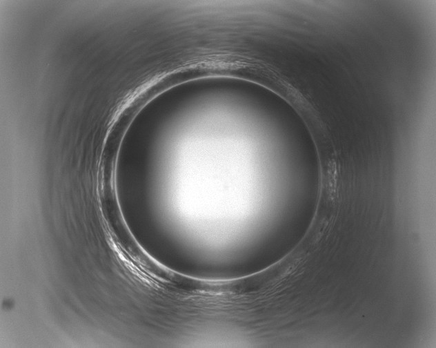 X0000086260726200703291432
