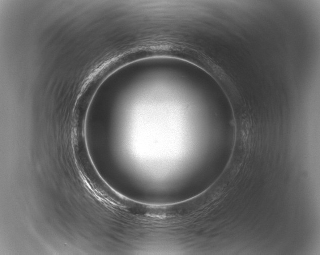 X0000086260728200703291432