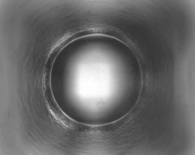 X0000086260730200703291432