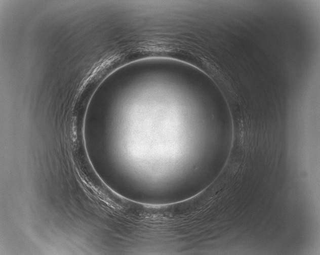 X0000086260731200703291432