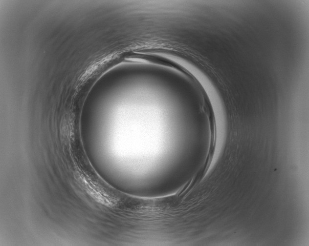 X0000086260732200703291432