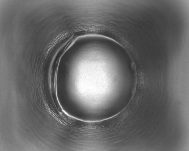 X0000086260738200703291433