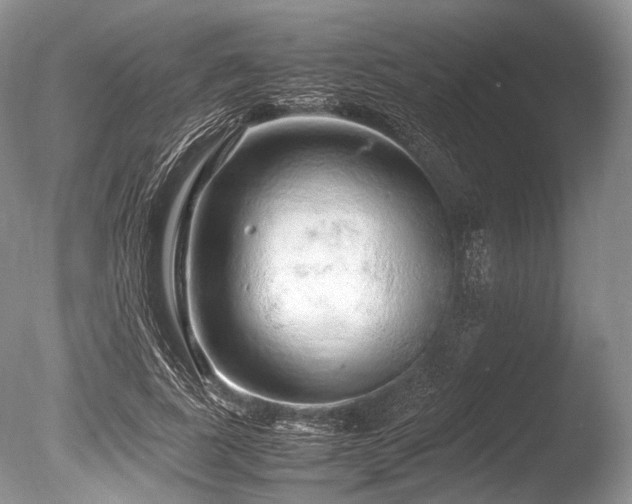 X0000086260739200703291433