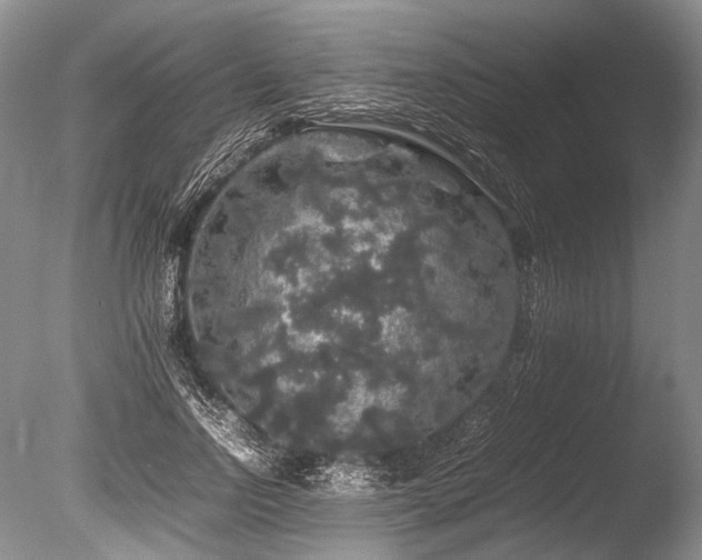 X0000086260742200703291433