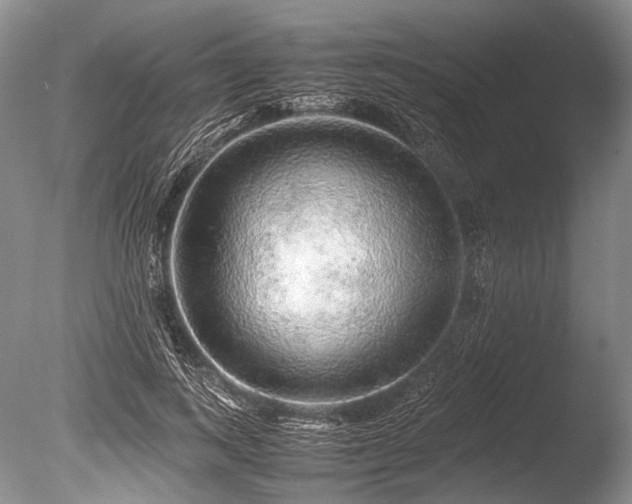 X0000086260743200703291433