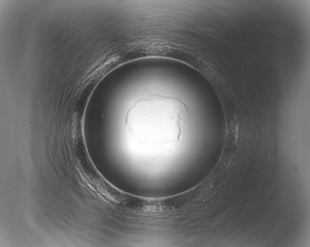 X0000086260744200703291433