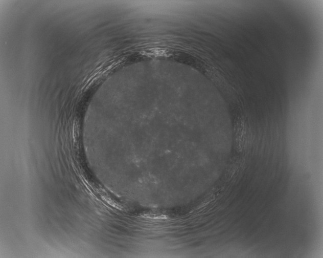 X0000086260747200703291433
