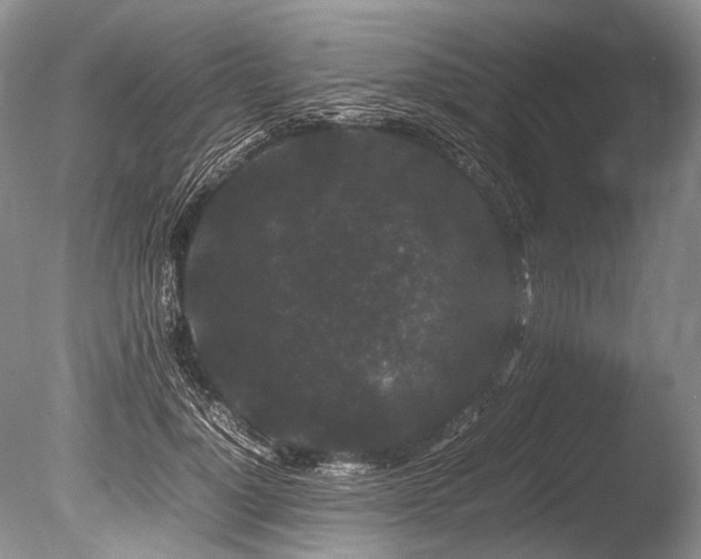 X0000086260748200703291433