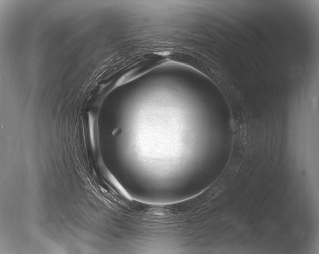 X0000086260750200703291433