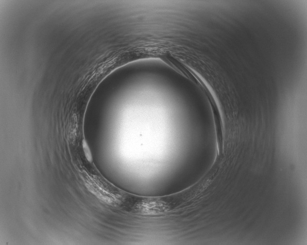 X0000086260752200703291433