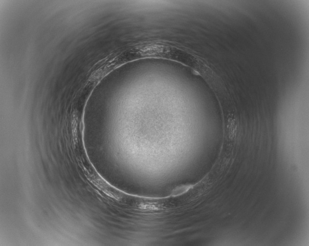 X0000086260753200703291433