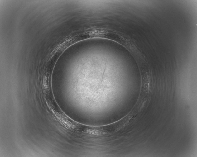 X0000086260755200703291433