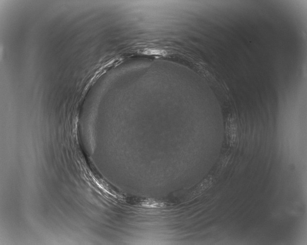 X0000086260760200703291433