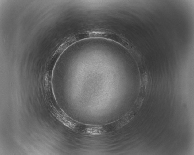 X0000086260761200703291433