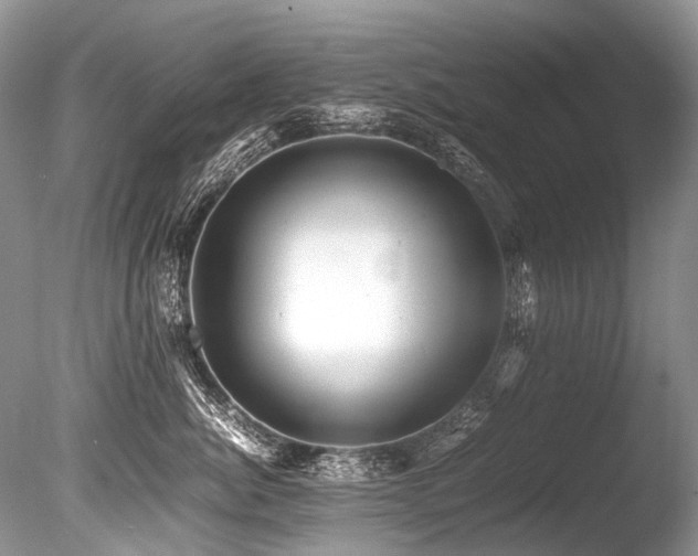 X0000086260764200703291433
