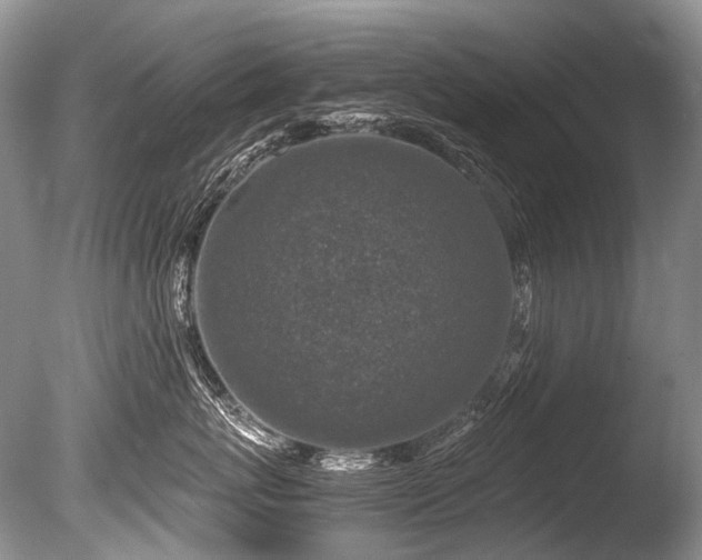X0000086260767200703291433