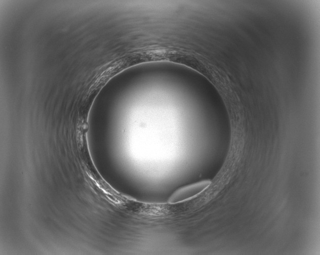 X0000086260768200703291433