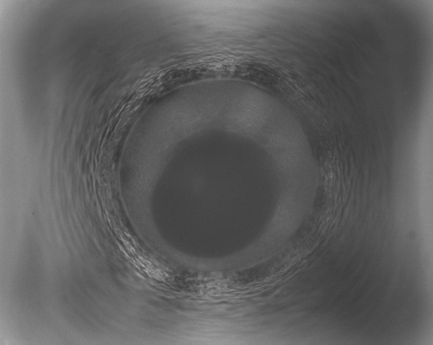 X0000086260769200703291432