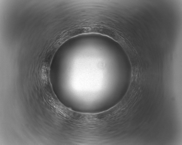 X0000086260770200703291432
