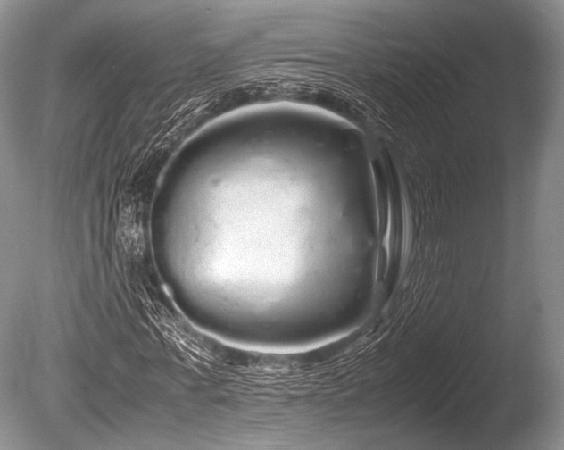 X0000086260771200703291432
