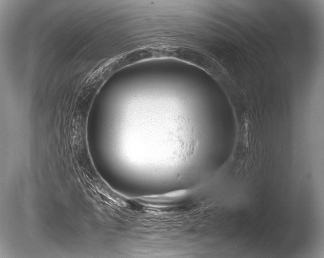 X0000086260773200703291432