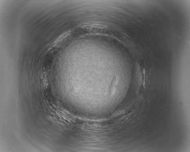X0000086260774200703291432