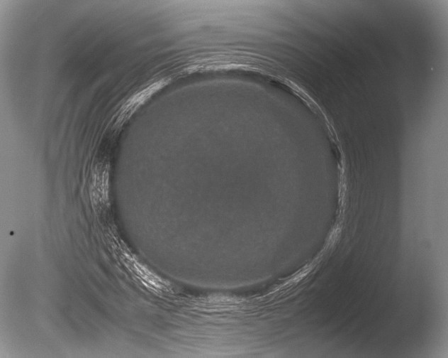 X0000086260777200703291432