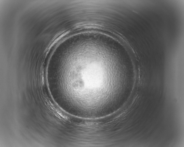 X0000086260782200703291432