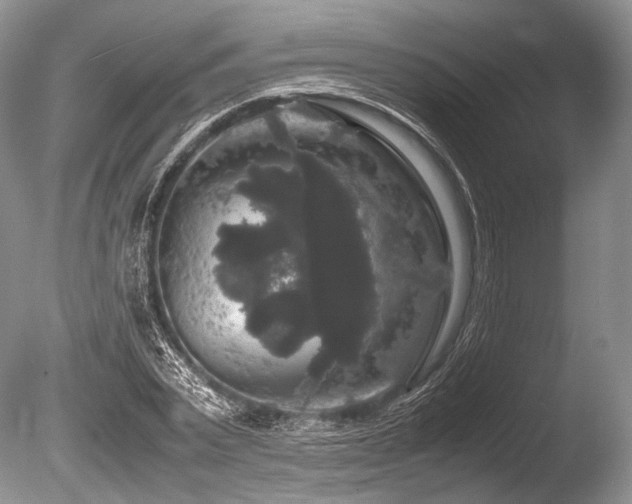 X0000086260783200703291432