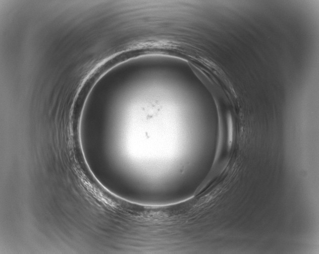 X0000086260784200703291432