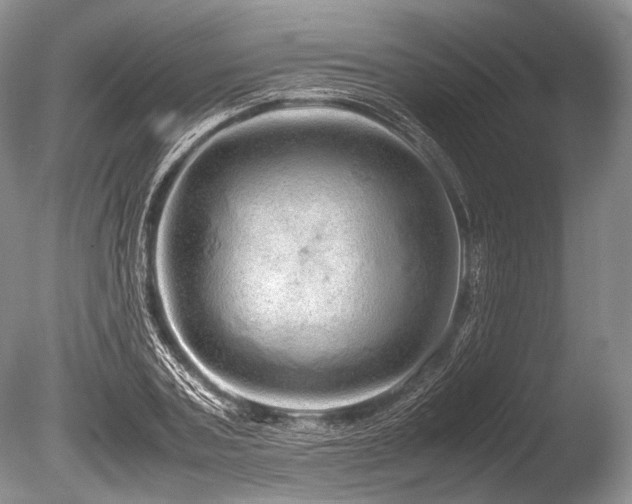 X0000086260787200703291432