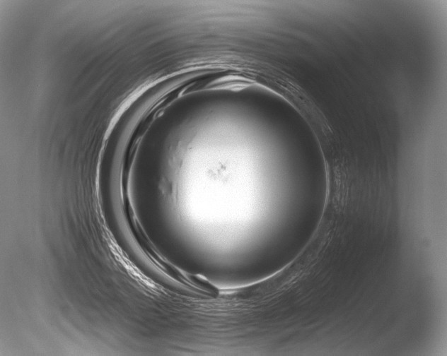 X0000086260788200703291432