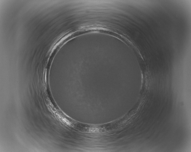 X0000086260790200703291432