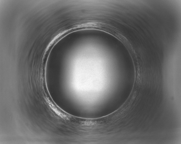X0000086260800200703291432
