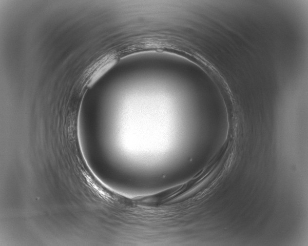 X0000086260801200703291432