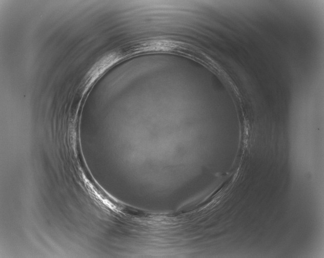 X0000086260802200703291432