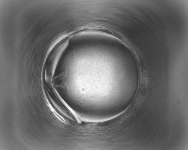 X0000086260803200703291432