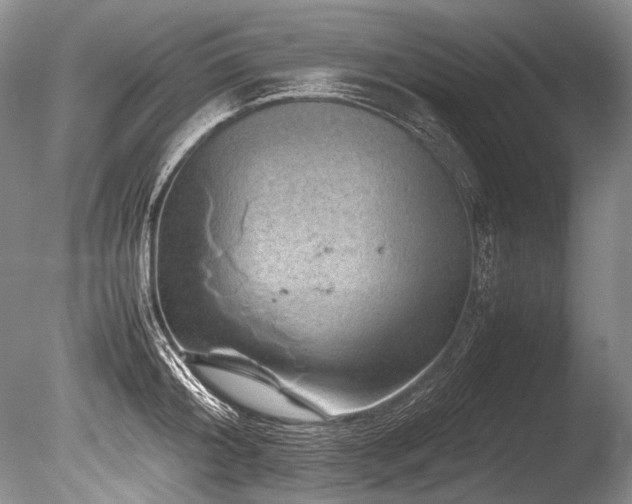 X0000086260804200703291432