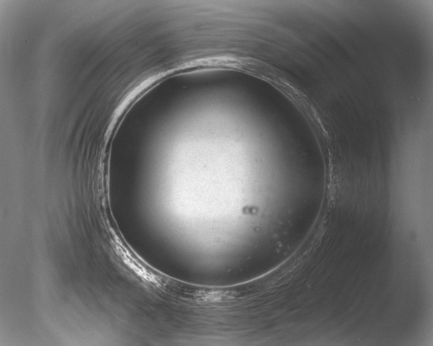 X0000086260808200703291432