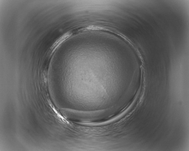 X0000086260809200703291432