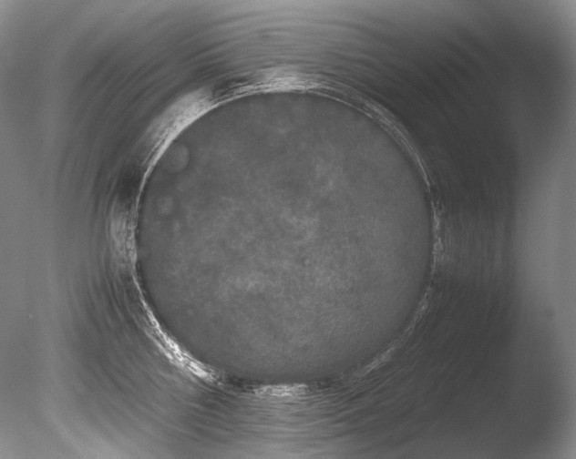 X0000086260810200703291431