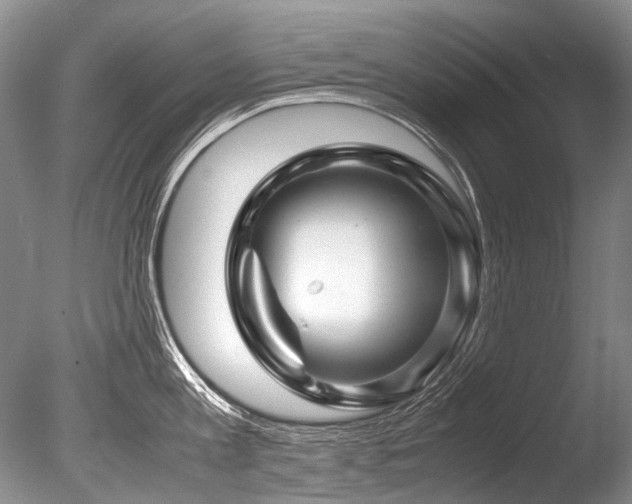 X0000086260813200703291431