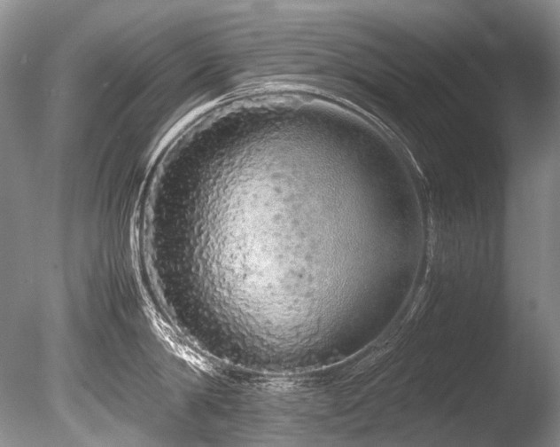 X0000086260814200703291431