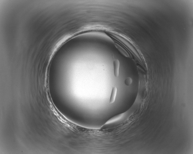 X0000086260815200703291431