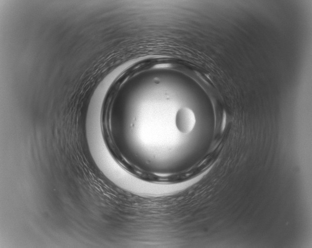X0000086260818200703291431