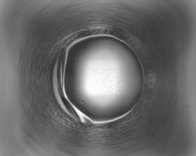 X0000086260821200703291431