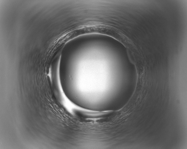 X0000086260822200703291431