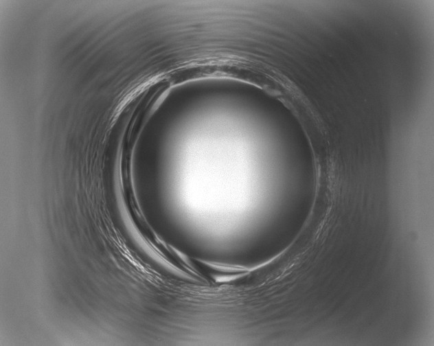 X0000086260826200703291431