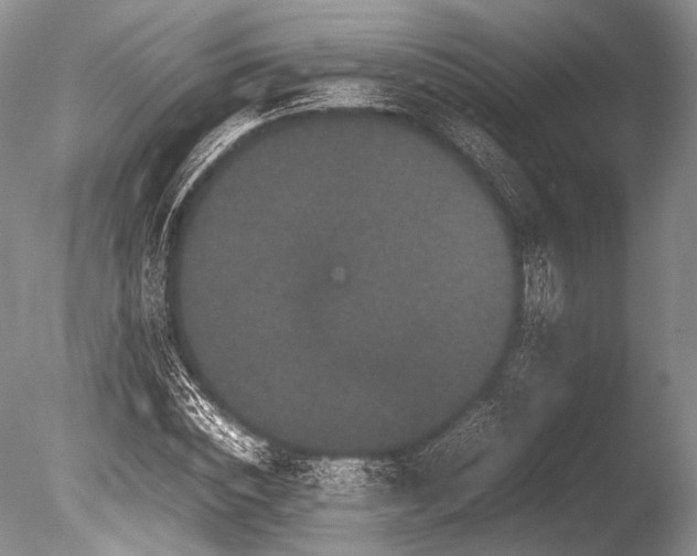 X0000086260828200703291431