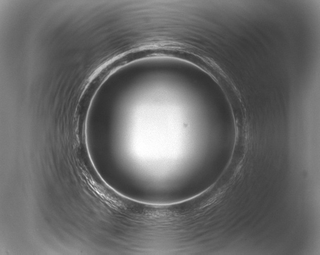 X0000086260830200703291431